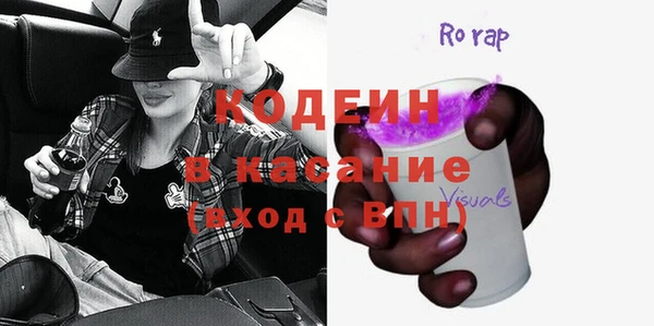 прущие грибы Вязьма