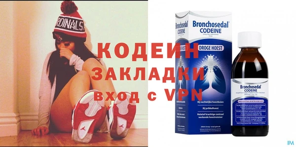 прущие грибы Вязьма
