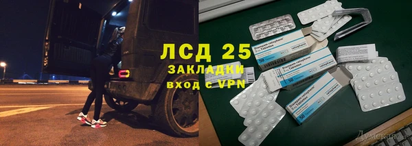 прущие грибы Вязьма