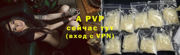 прущие грибы Вязьма