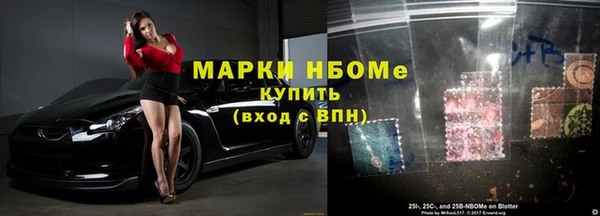 прущие грибы Вязьма