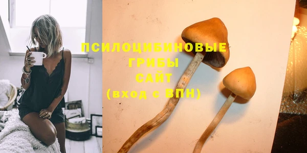 дживик Вязники