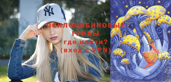 прущие грибы Вязьма