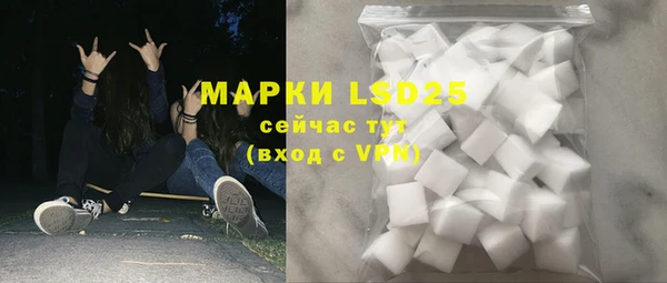 прущие грибы Вязьма