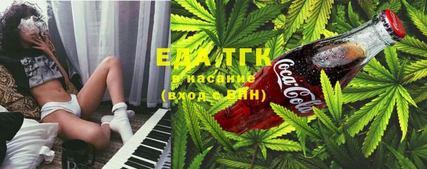 прущие грибы Вязьма
