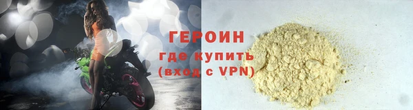 прущие грибы Вязьма