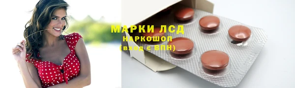 СК Вяземский
