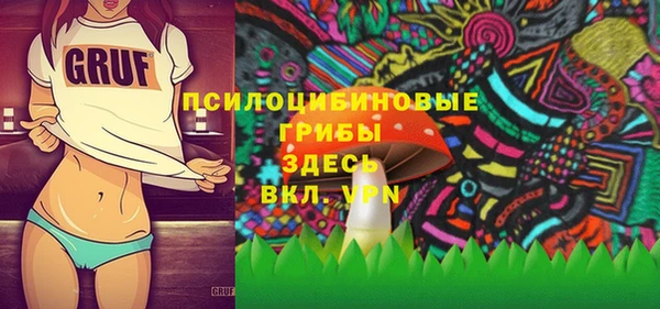 СК Вяземский