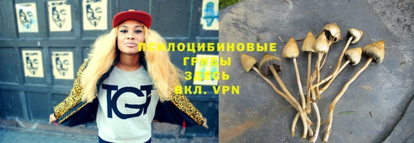 дживик Вязники