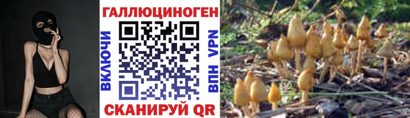 хочу   Гдов  Псилоцибиновые грибы Magic Shrooms 