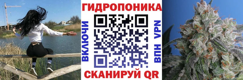 как найти закладки  Гдов  МЕГА tor  Бошки марихуана планчик 